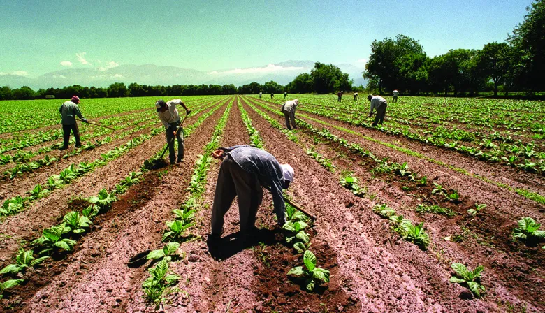 UATRE alerta sobre un cambio que podría afectar a miles de trabajadores