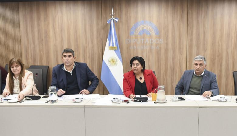 La oposición avanza para nombrar al Defensor del Niño en septiembre