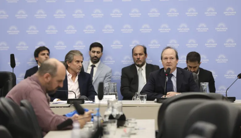 Tras la salida de Espert, Benegas Lynch asumió en la comisión de Presupuesto y Energía