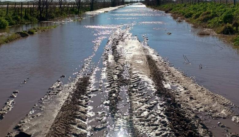 Insólito: en Carlos Casares buscan cobrarle una sobretasa al campo en medio de las inundaciones
