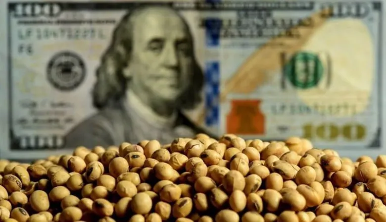 Superávit de cuenta corriente: liquidación récord del agro y el petróleo