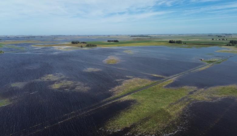 Inundaciones en Buenos Aires: 700.000 hectáreas bajo agua y cuatro distritos en alerta