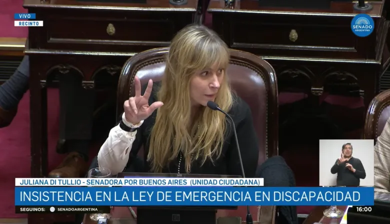 Voltearon el veto de Milei a la Emergencia en Discapacidad: el polémico gesto de Di Tullio