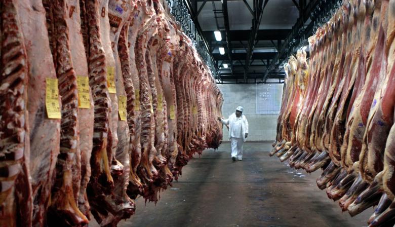 Elecciones, suba del dólar y carne vacuna: ¿Hay riesgos de aumentos en las carnicerías?