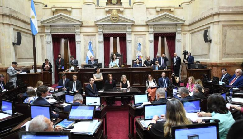 Senadores podrían ceder su suba salarial al Hospital Garrahan