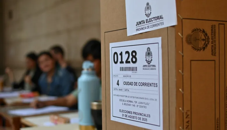 Cómo y dónde denunciar delitos o irregularidades durante las elecciones