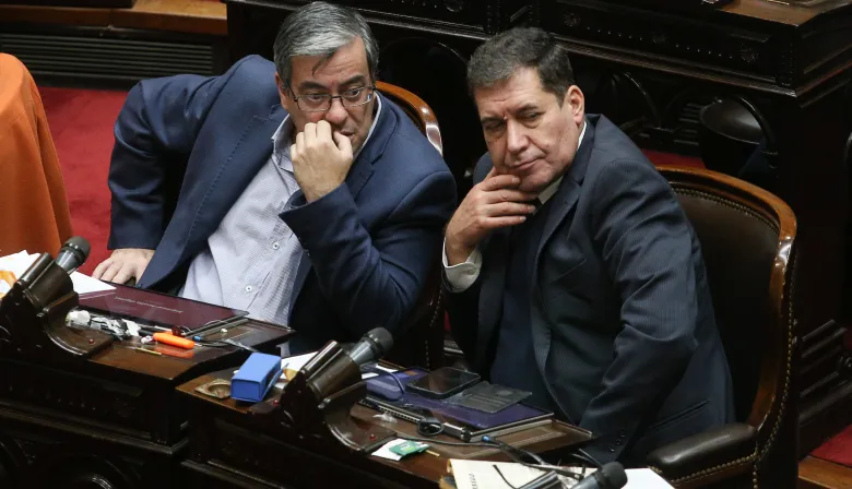 La oposición impulsa la emergencia en discapacidad y busca dictamen en Diputados