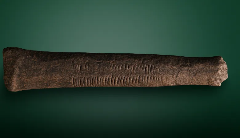 El hueso de Ishango: evidencia matemática de hace 25.000 años en África