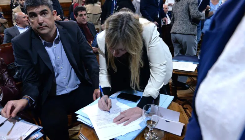 Derrota de Milei en el Senado: el proyecto del Garrahan al borde de la aprobación