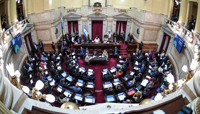El Senado podría rechazar hoy el veto a la ley de Emergencia en Discapacidad