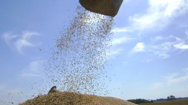 Exportaciones: en 2024, tres empresas concentraron el 39% de los despachos agroindustriales