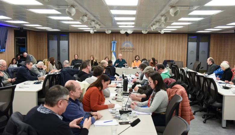 Ciencia en crisis: el reclamo de investigadores argentinos en Diputados