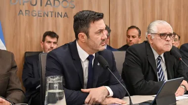 Petri en el Congreso: "Compraban salmón y whisky, y tenían hambreados a los soldados argentinos"