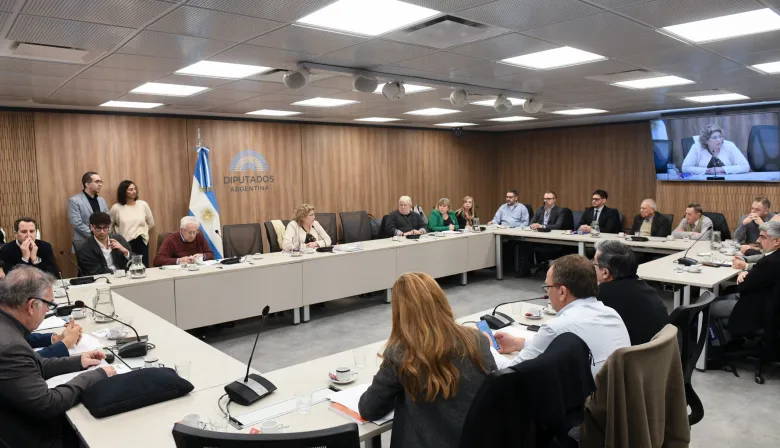 Diputados debaten el polémico DNU que habilita cortes de agua por falta de pago