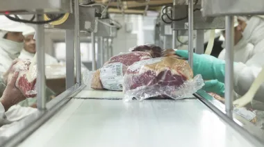 Argentina cumplió con la Cuota Hilton 2024/25 y exportó carne por U$S 350 millones