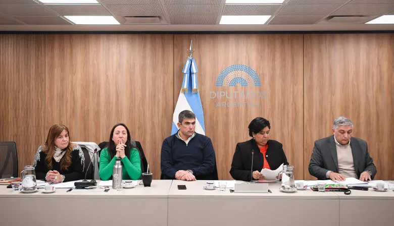 Un diputado denunció demoras y conflicto de intereses en la elección del Defensor del Niño