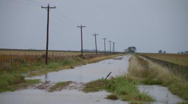 El Gobierno decretó la emergencia agropecuaria en Buenos Aires y San Juan