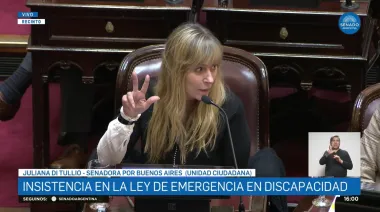 Voltearon el veto de Milei a la Emergencia en Discapacidad: el polémico gesto de Di Tullio