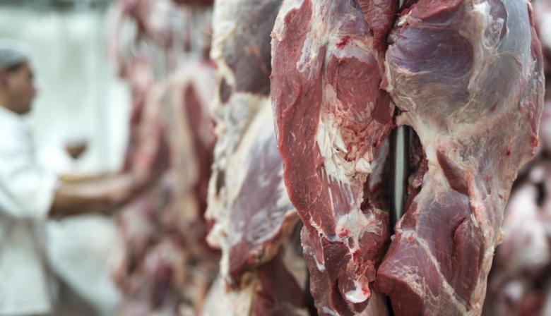 Quita de retenciones en carne: "No será relevante y no se podrá aprovechar"