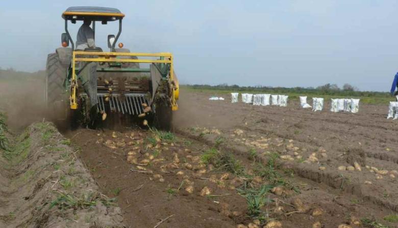 Los productores paperos del sudeste de Buenos Aires rechazaron el proyecto de suelos de CIAFBA