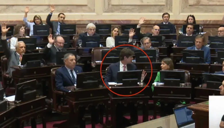 Diez momentos que marcaron la trayectoria de Lousteau, el diputado que entró por la ventana