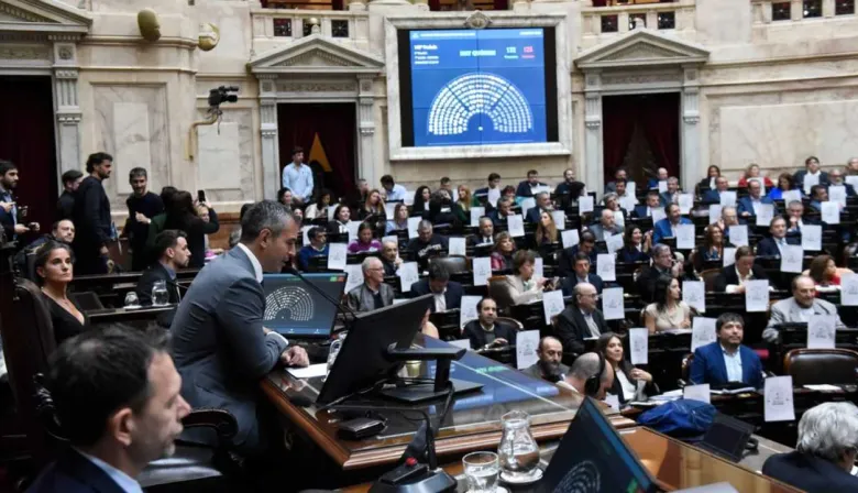 Se aprobó en Diputados la Ley de Emergencia en Discapacidad