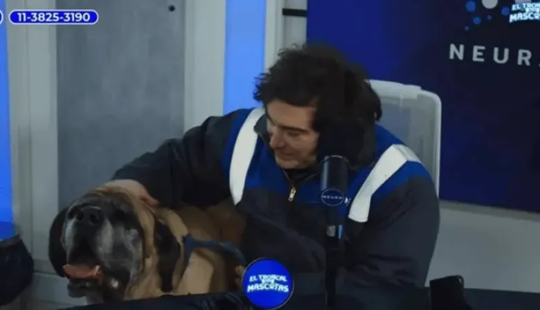 Javier Milei fue a una entrevista con su perro Conan: “Acá está, este es uno de los cinco”