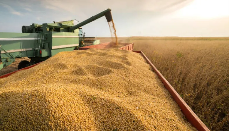Retenciones: "Este sistema malévolo sólo genera quebrantos y desaparición de productores"