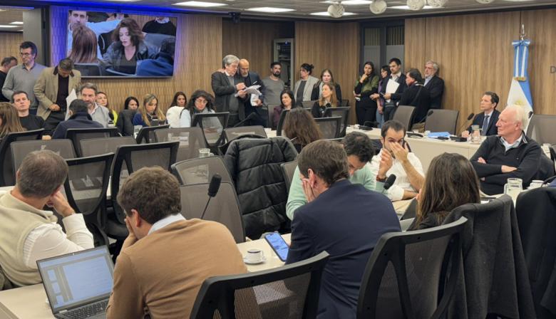 Reunión polémica pero sin definiciones de la comisión investigadora de $Libra