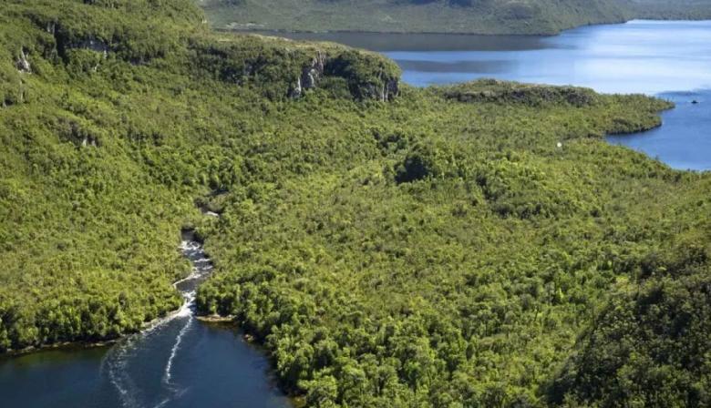 Traiguén: la isla en venta… con comunidad indígena incluida