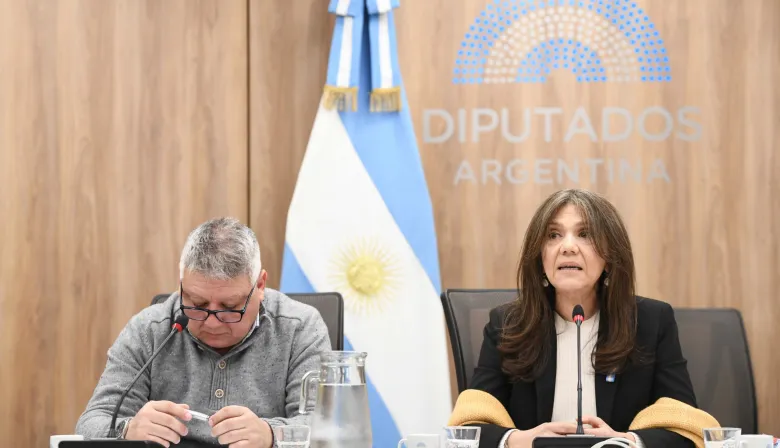 Alerta por el patrimonio cultural: Expertos y diputados reclaman protección urgente
