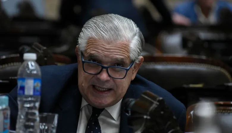 Asignación Universal por Discapacidad: el ambicioso plan de López Murphy