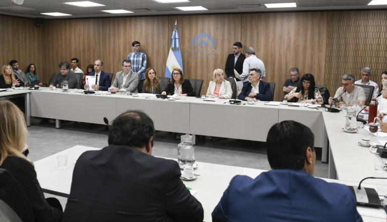 Fentanilo contaminado: qué dijeron los laboratorios en Diputados