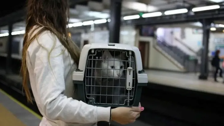 Pasajero con perro en contenedor para transporte ferroviario y automotor de larga distancia seg&uacute;n normativa nacional.