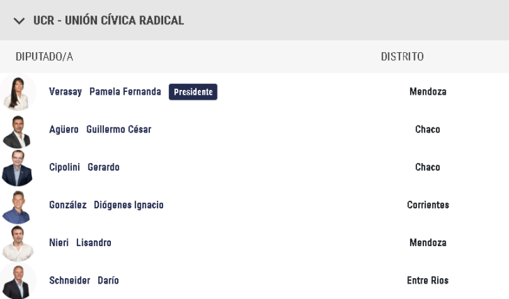 N&oacute;mina de los 6 diputados de la UCR liderados por Pamela Verasay que enfrentan el pedido de exclusi&oacute;n del partido.