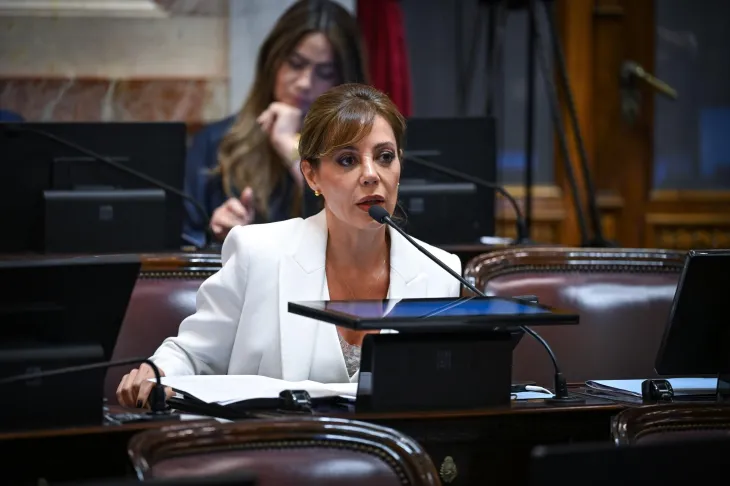Flavia Roy&oacute;n, clave para la aprobaci&oacute;n de la reforma laboral en el Senado de la Naci&oacute;n.