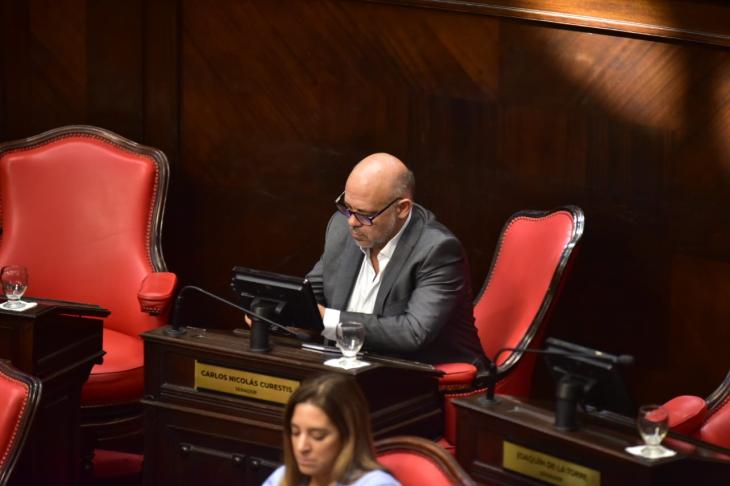 Carlos Curestis, jefe del bloque de La Libertad Avanza, ante los abusos en el Senado Bonaerense.