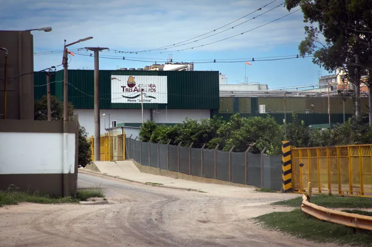 La industria del pollo enfrenta dificultades por el aumento de importaciones desde Brasil.