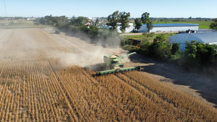 Cosechadora trabajando en un campo de soja bajo un cielo despejado en la zona n&uacute;cleo argentina.
