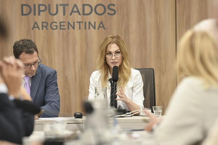 Lilia Lemoine, hablando al frente de la comisión de juicio político.