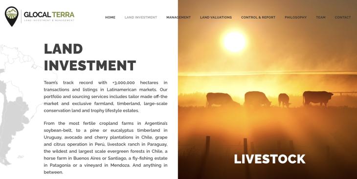 Sitio web de Glocal Terra, la empresa de Joaquín Benegas Lynch de venta de campos a extranjeros.