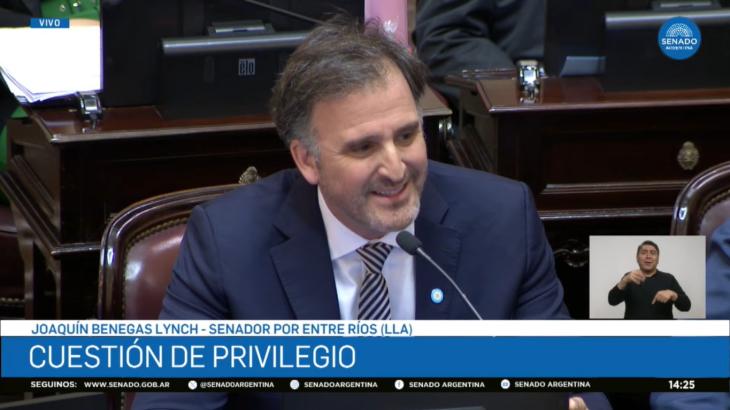 Joaqu&iacute;n Benegas Lynch defendiendo su empresa Glocal Terra SRL, dedicada a la venta de campos a extranjeros, durante el debate de la Ley de Inviolabilidad de la Propiedad Privada en el Senado de la Naci&oacute;n.