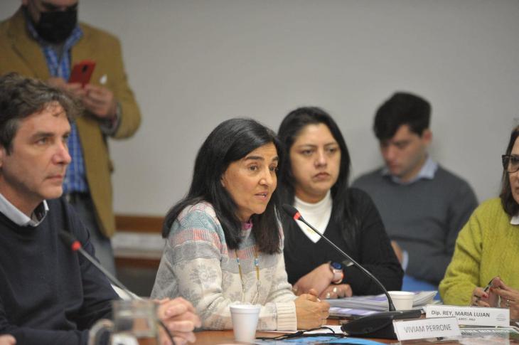 Viviam Perrone, mam&aacute; de Kevin Sedano