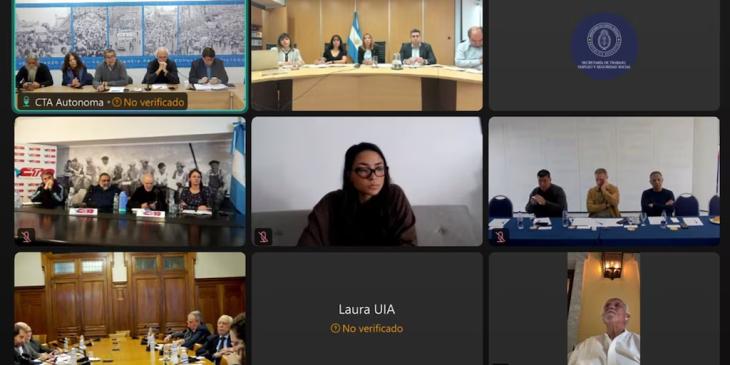 Gremios, empresarios y Gobierno en la reuni&oacute;n virtual del Consejo del Salario