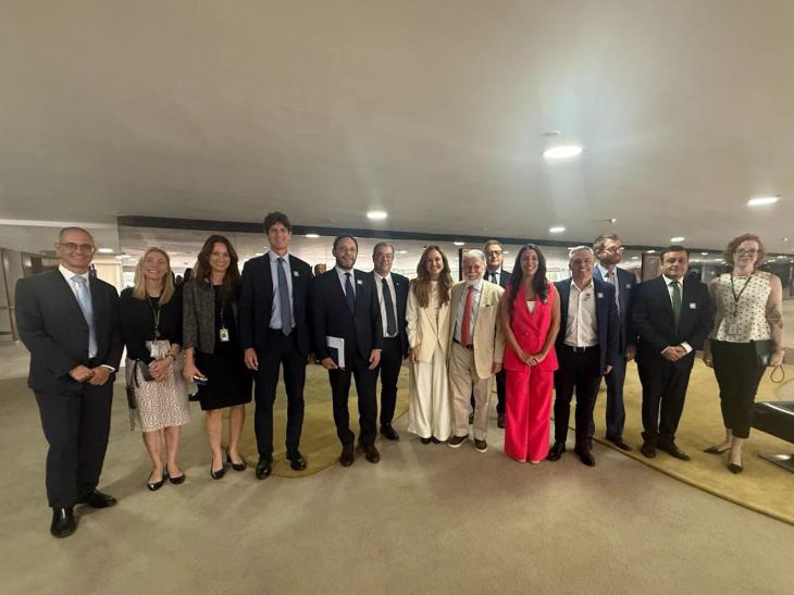 Diputados argentinos reunidos con legisladores en Brasilia