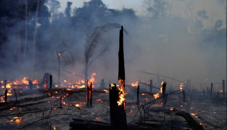 Human Rights Watch alertó que grupos mafiosos deforestan el Amazonas y amedrentan a ONGs e indígenas