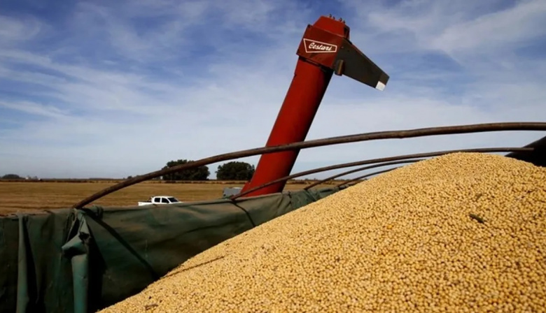 Se reduce la cantidad de productos alcanzados por las Declaraciones Juradas de Venta al Exterior