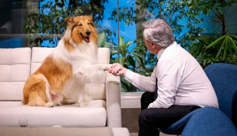 Milei le ofreció a Alberto Fernández adoptar a su perro Dylan