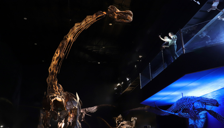 El dinosaurio más grande del mundo se exhibe por primera vez en un museo de la Patagonia