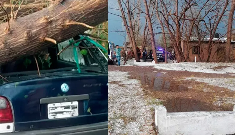Tormenta fatal en Mendoza: por cuidar su auto del granizo murió aplastado por un árbol